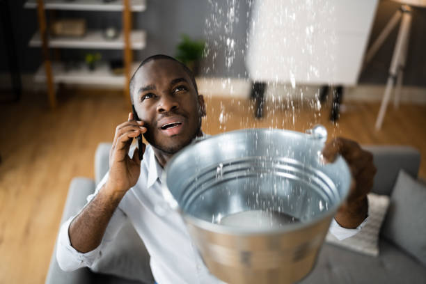 Best Water damage restoration insurance claims  in Franklinville, NC