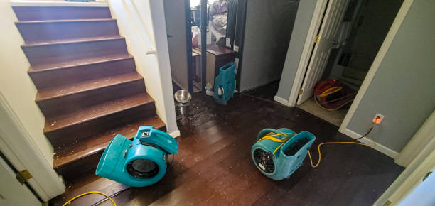Best Local water damage restoration  in Franklinville, NC