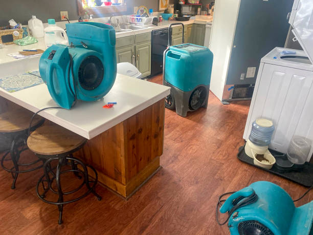 Best Water damage restoration near me  in Franklinville, NC