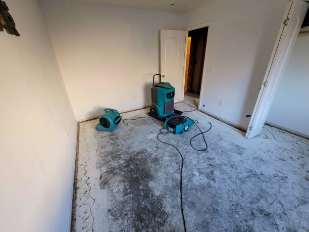 Best Carpet water damage restoration  in Franklinville, NC