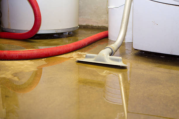 Best Flood damage cleanup  in Franklinville, NC