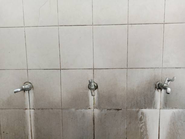 Best Local water damage restoration  in Franklinville, NC