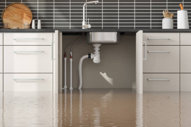 Best Flooded house restoration  in Franklinville, NC