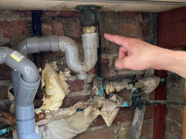 Best 24/7 water damage repair  in Franklinville, NC